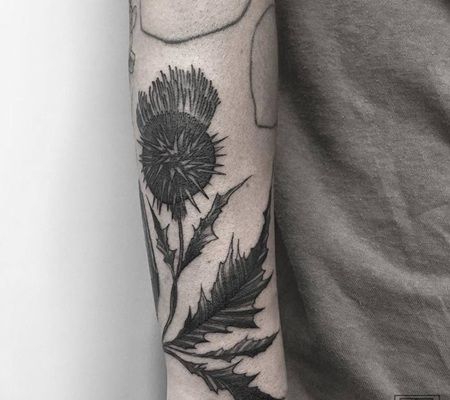 手臂超大型的蓟纹身图片