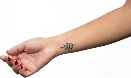 手腕简约风格的橄榄枝纹身图片