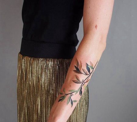 前臂鲜艳颜色的橄榄枝纹身图片