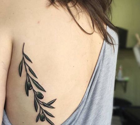 美女后背左侧胸腔的橄榄枝纹身图案