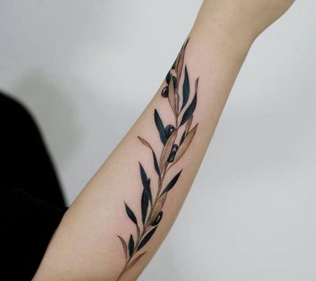 手臂上美丽的橄榄枝纹身图案