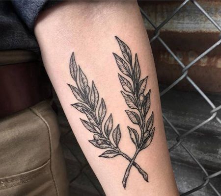 在前臂上两根橄榄枝纹身图像