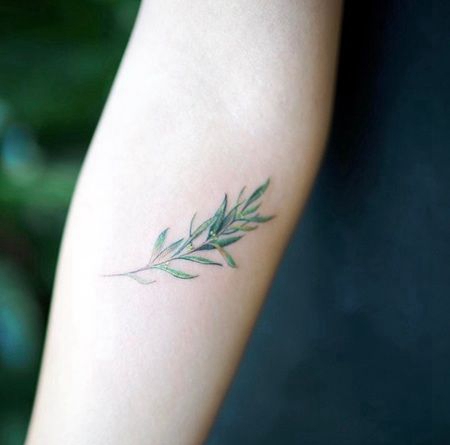 精致的绿色橄榄树枝纹身图案