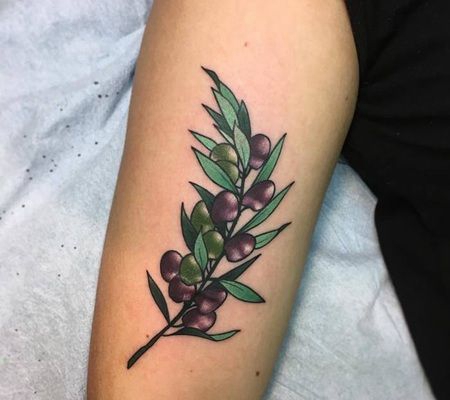 在二头肌上有丰富的橄榄枝纹身图像