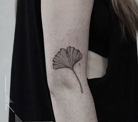 胳膊肘处一个漂亮的黑色银杏叶纹身图片