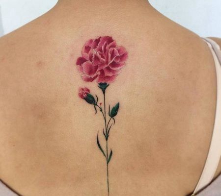 后背粉红色的康乃馨纹身图案