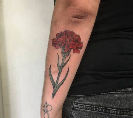 前臂上的红色康乃馨纹身