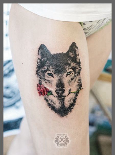 性感的美女大腿纹了一只叼着红色玫瑰花的黑色狼图案