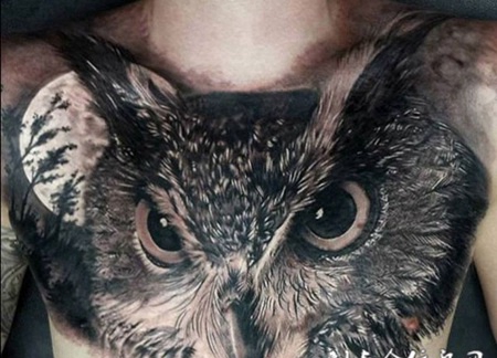 智慧的象征，胸口月夜猫头鹰创意纹身