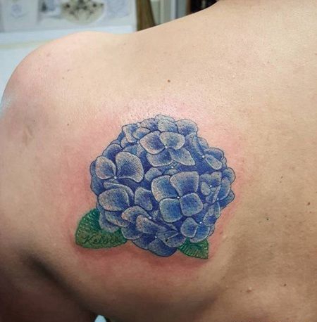 后肩美丽的浅蓝色绣球花纹身图