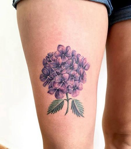大腿处紫粉色绣球花纹身图片