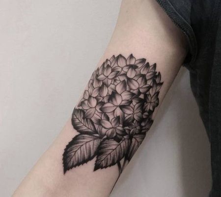 女孩胳膊处黑色绣球花纹身图案