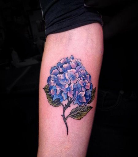手臂带枝叶的紫色绣球花纹身图案