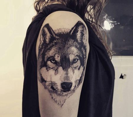 美女胳膊神情凝视的黑色狼头纹身图案