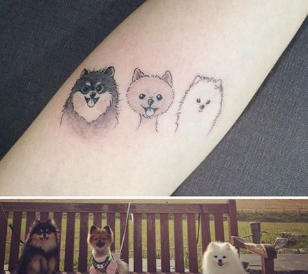 手臂三只小清新的狗（芬兰拉普猎犬、博美）实物与纹身图对比