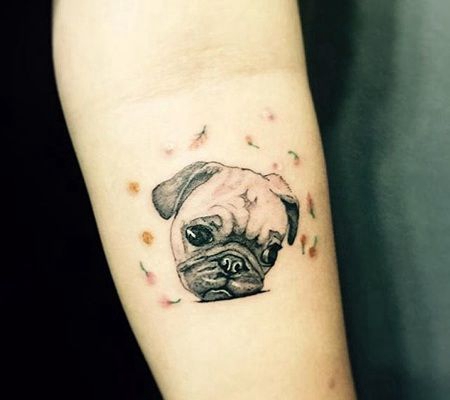 头斜着的郁闷3D巴哥手臂纹身图案