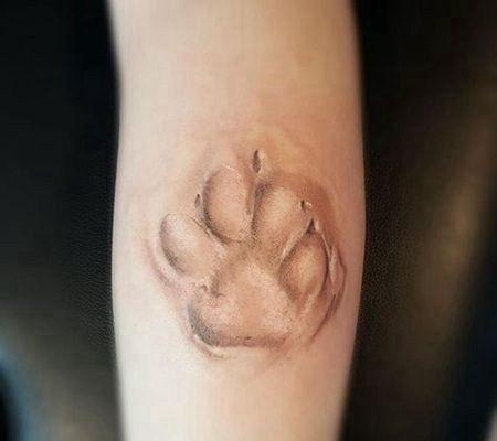 胳膊肘肉色3D狗爪印纹身图案