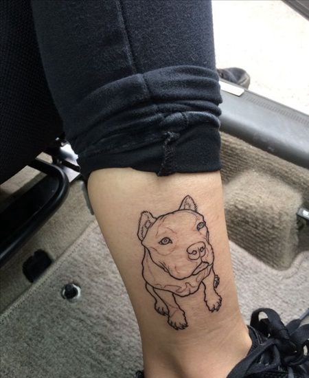 一边坐着一边凝视的斗牛梗勾线图