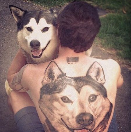 哈士奇与男主人后背纹身合照