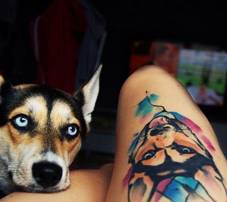 主人晒大腿3D哈士奇纹身与它紧贴着美女主人大腿凝视着的照片