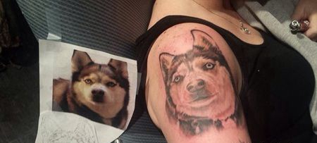 美女胳膊处自家宠物哈士奇纹身图案