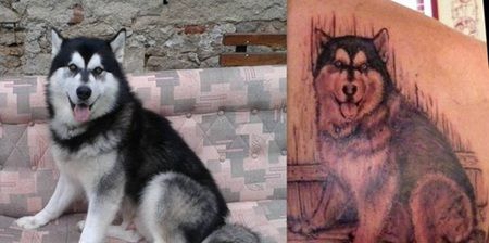 后背纹身一只半卧着的哈士奇