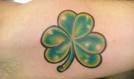 男子胳膊上一个多肉类型的3D三叶草纹身图片