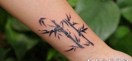 竹韵依旧，手臂水墨画风竹子图腾纹身