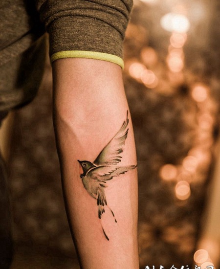 百尺楼高燕子飞，手臂展翅高飞燕子纹身