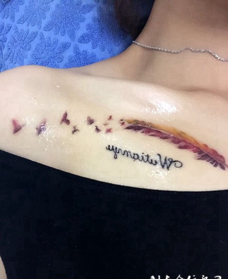 女生锁骨唯美化蝶羽毛个性纹身