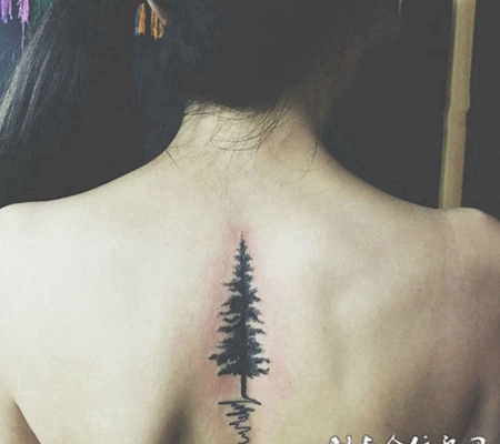 参天巨木，美女后背自然系大树图腾纹身