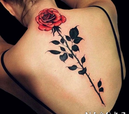 娇艳欲滴，女子后背玫瑰花纹身图案