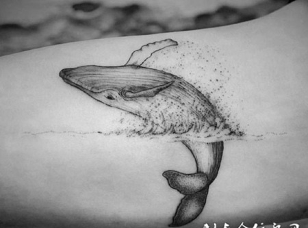 水上的欢腾，手臂鲸鱼创意纹身图案