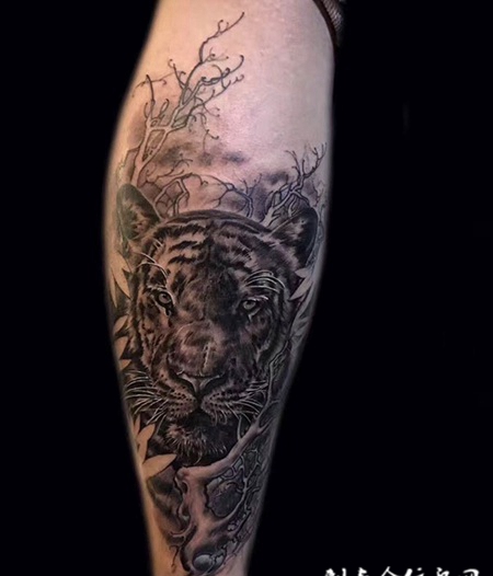 静待时机，小腿老虎写实纹身图案