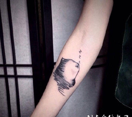 手臂上睡懒觉的猫纹身图案
