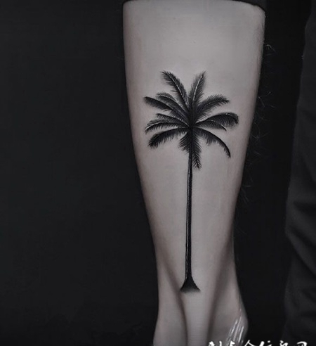 男子脚踝个性黑灰椰子树纹身图案
