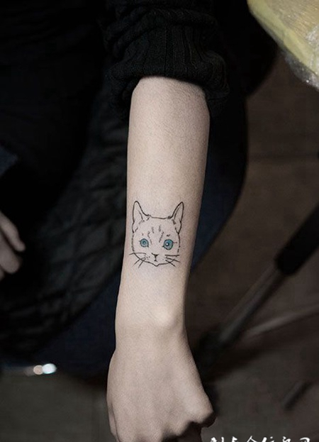 手臂萌猫咪纹身图案
