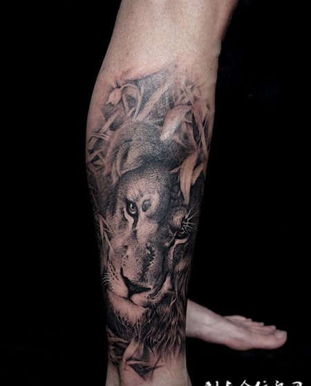 王者柔情，小腿写实风狮子纹身