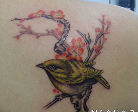 后肩上的黄鹂卧梅花纹身
