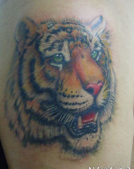 肩膀上写实彩色虎头纹身
