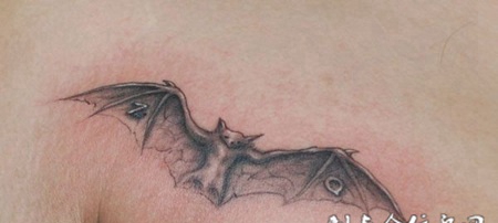 胳膊上飞出的蝙蝠纹身
