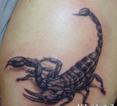 胳膊上的立体蝎子纹身