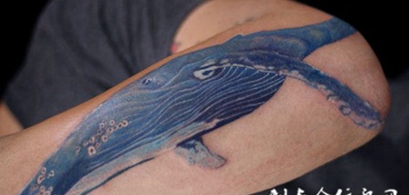 胳膊上的小鲸鱼纹身