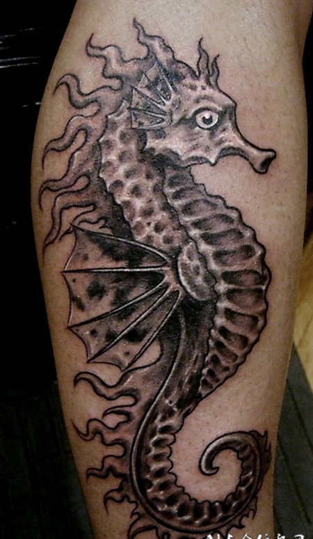 小臂上的海马纹身