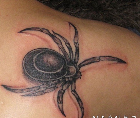 后肩上的危险：蜘蛛纹身