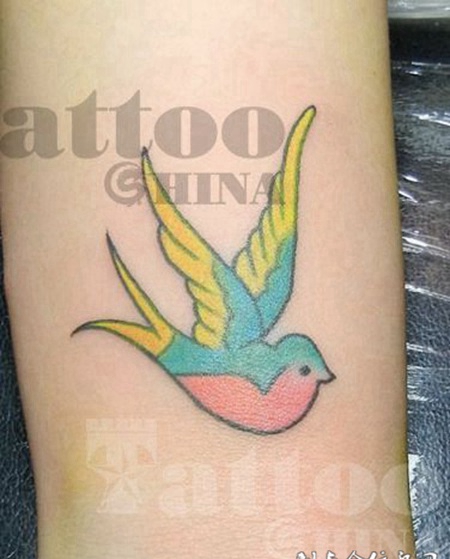 和平的代表：鸽子纹身