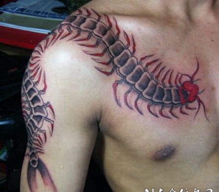 肩膀上攀爬的蜈蚣纹身