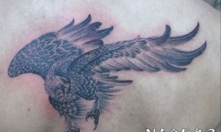 猎食的雄鹰纹身