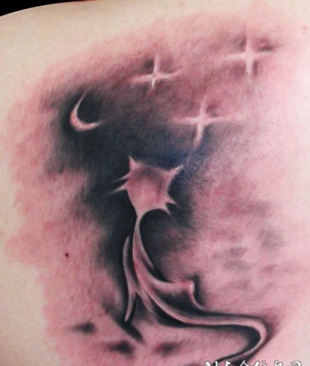 月光下的梦幻猫