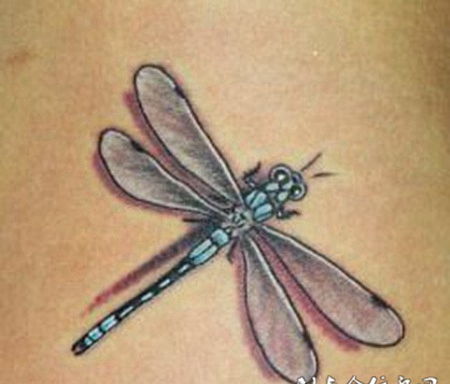 腰侧的彩色蜻蜓纹身